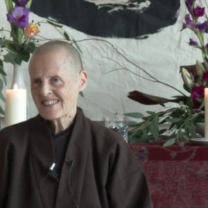 Le Tre porte della liberazione o i Tre sigilli del Dharma: Discorso di Dharma di Sr Chân Duc del 4 maggio 2018