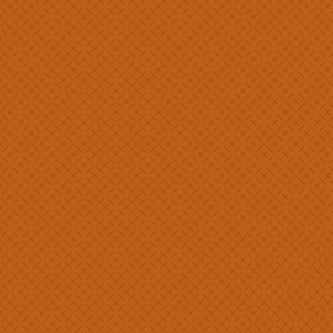 Storia del Buddhismo Impegnato