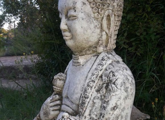 Praticare i nostri propri Sutra