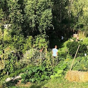 Giornata di biofertilità in consapevolezza  attraverso la permacultura  secondo le pratiche di Plum Village