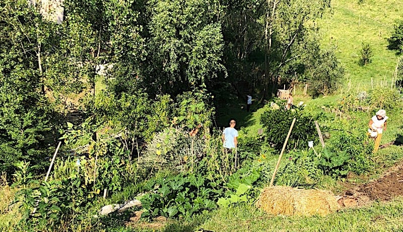 Giornata di biofertilità in consapevolezza  attraverso la permacultura  secondo le pratiche di Plum Village