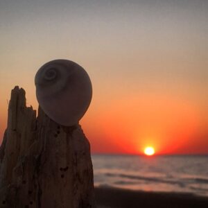 Chiarezza e compassione, le 51 formazioni mentali