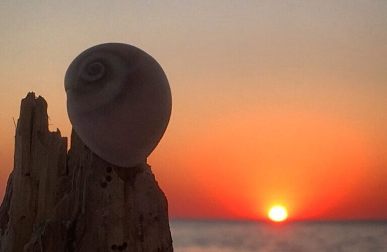 Chiarezza e compassione, le 51 formazioni mentali