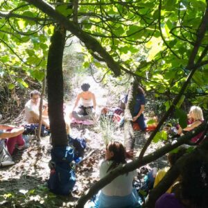 MenteCuoreMani: esperienza di meditazione, cura della Terra e comunità