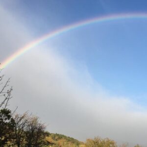 “Libertà, Liberazione”: 23 – 27 marzo 2022, Ritiro offerto da Diana Petech