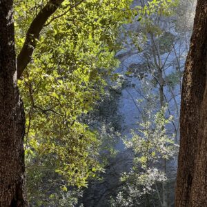 Posiamo i pensieri, riposiamo nel corpo