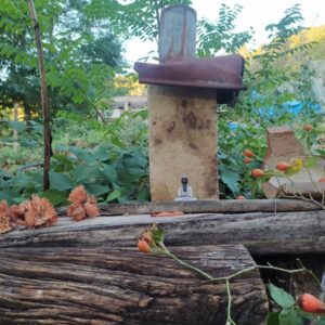 Vivere davvero: Ritiro di meditazione con l’insegnante di Dharma Chân Hảo