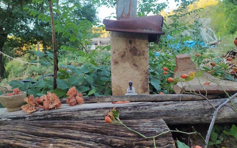 Vivere davvero: Ritiro di meditazione con l’insegnante di Dharma Chân Hảo