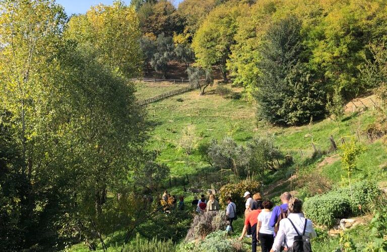 DHARMA DELLE RELAZIONI L’arte di non ferire e non subire