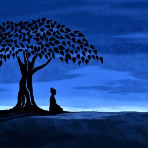 CONTADINI FELICI CAMBIANO IL MONDO  Per il ciclo dedicato al  DHARMA DELLE RELAZIONI con Cristiano Baldissera