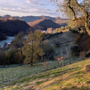MEDITAZIONE E COMPASSIONE Esplorazione meditativa fra psicologia e Zen CON IL MONACO FABIEU E CRISTINA PESCE