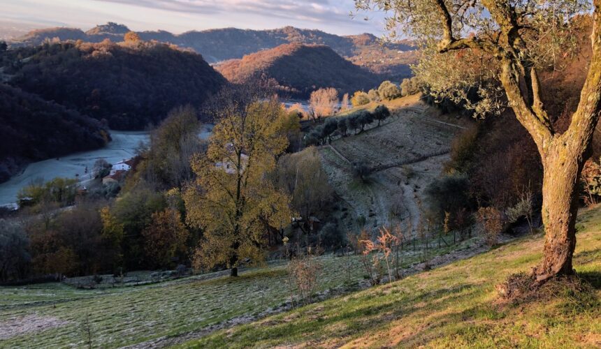 MEDITAZIONE E COMPASSIONE Esplorazione meditativa fra psicologia e Zen CON IL MONACO FABIEU E CRISTINA PESCE