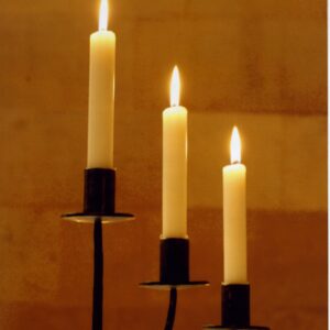 Recitazione online dei 5 Addestramenti alla Consapevolezza, Domenica 19 febbraio ore 19