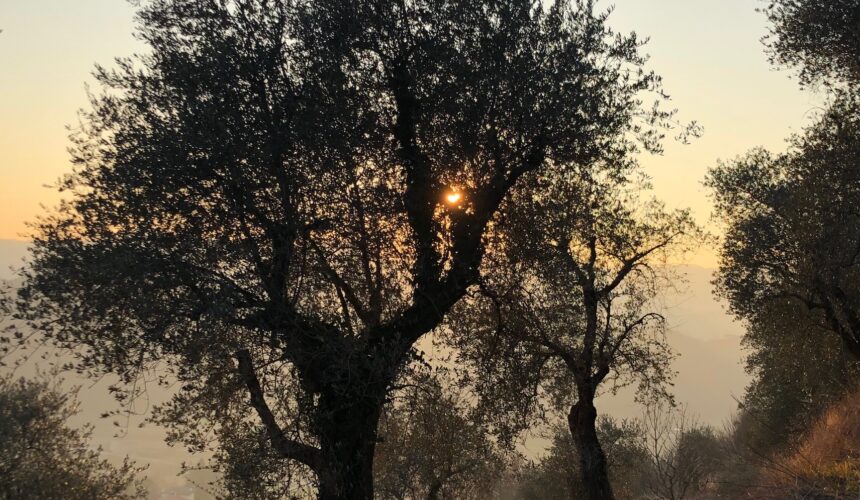 ACCETTAZIONE  e AZIONE  ritiro secondo gli insegnamenti di Thich Nhat Hanh con SILVIA LOMBARDI e il Sangha di Marostica