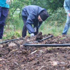 Quali semi annaffiare per un buon raccolto?