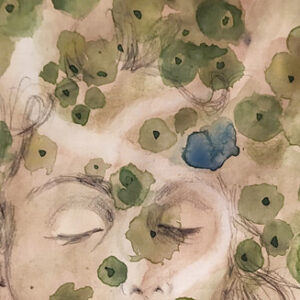 Paesaggi abbondanti: Incontro fra Dharma e permacultura, a Pardesa