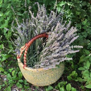 INTERESSERE NELLA NATURA DELLE COSE Essere in contatto, guardare in profondità nella natura dentro e intorno a noi