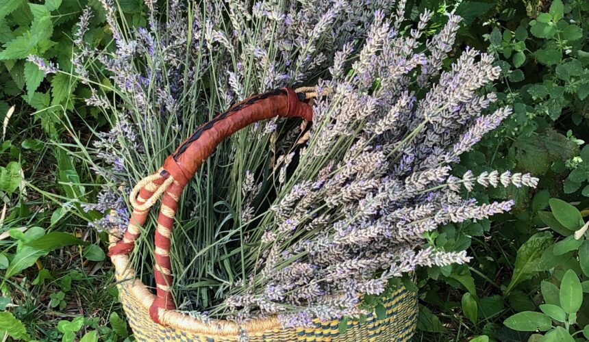 INTERESSERE NELLA NATURA DELLE COSE Essere in contatto, guardare in profondità nella natura dentro e intorno a noi