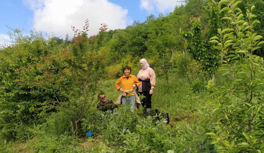 MenteCuoreMani: vita contemplativa, cura della Terra e comunità, 11-17 settembre a Pardesa