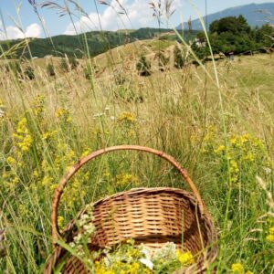 CALENDARIO TERRA FELICE – MAROSTICA