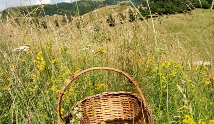 CALENDARIO TERRA FELICE – MAROSTICA