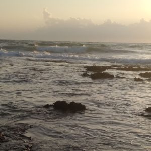 23-26 maggio “L’isola dentro di noi“, ritiro con l’insegnante di Dharma Hagit Harmon