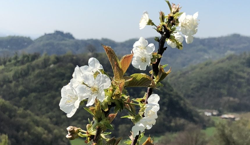 SIAMO INNAMORATI DELLA MADRE TERRA ritiro dell’ascolto con il sangha Terra Felice