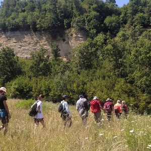 I Cinque Addestramenti: Ritiro di presenza mentale a Pardesa