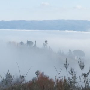 NUTRIRSI DI BELLEZZA  ritiro secondo gli insegnamenti di Thich Nhat Hanh con Diana Petech e Annamaria De Leonibus