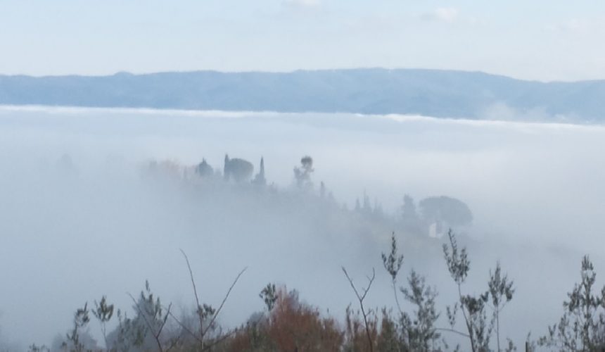 NUTRIRSI DI BELLEZZA  ritiro secondo gli insegnamenti di Thich Nhat Hanh con Diana Petech e Annamaria De Leonibus