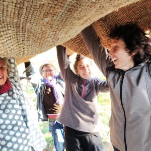 Festeggiamo gli Addestramenti