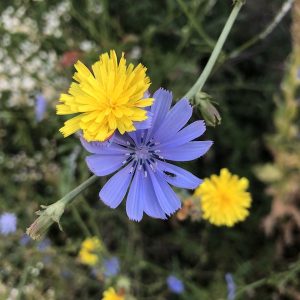 Riconciliarsi dentro e fuori