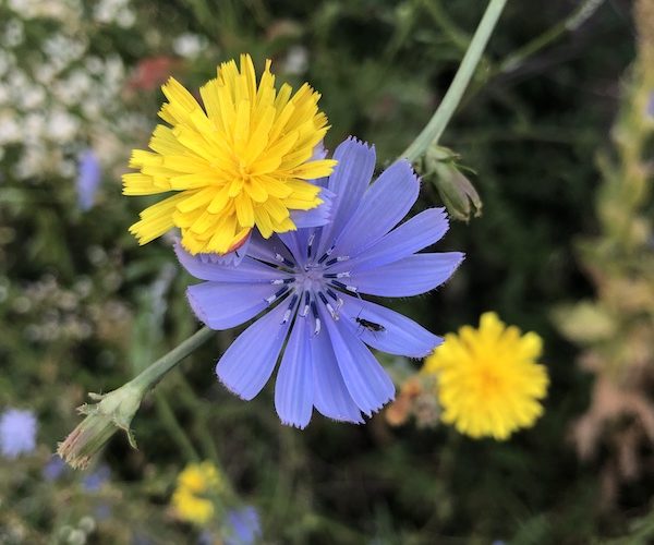 Riconciliarsi dentro e fuori