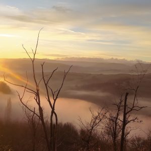 Il silenzio ci riconduce all’essenza