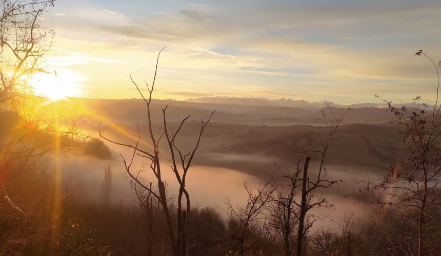 Il silenzio ci riconduce all’essenza