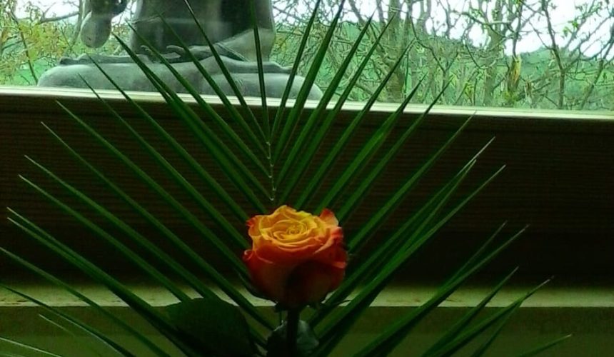 Domenica 17 Novembre ore 19 recitazione dei 5 Addestramenti alla Consapevolezza