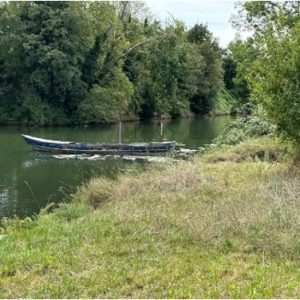 Il mondo ha bisogno di guarire;  le comunità e le nazioni hanno bisogno di guarire