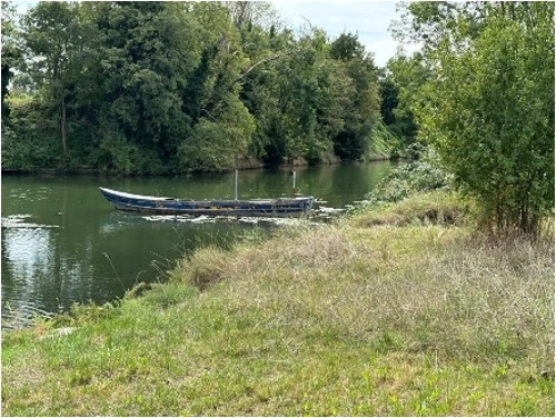 Il mondo ha bisogno di guarire;  le comunità e le nazioni hanno bisogno di guarire