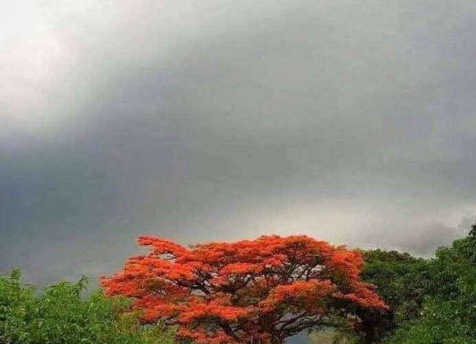 Domenica 16 febbraio 2025 ore 19 – Recitazione online dei 5 Addestramenti alla consapevolezza