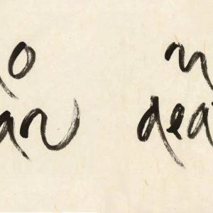 LA PRATICA DELLA NON PAURA