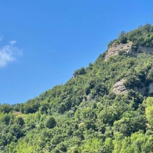 Tornare all’essenza, aprirsi alla pienezza: ritiro in silenzio