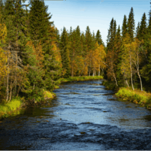 GO AS A RIVER / FLUIRE COME UN FIUME (coltivare la pratica nella comunità spirituale)