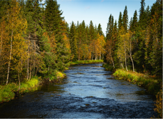 GO AS A RIVER / FLUIRE COME UN FIUME (coltivare la pratica nella comunità spirituale)