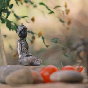 6 settembre @Pardesa: La guarigione come via spirituale: giornata di presenza mentale a Pardesa