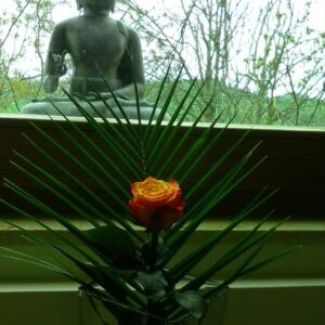 Domenica 19 ottobre 2025 Recitazione online dei 5 Addestramenti alla Consapevolezza