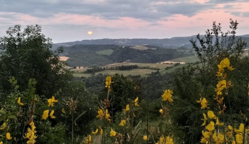 9 novembre a Pardesa: Presenza mentale e la natura