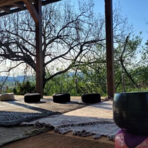 Praticare con la psicologia buddhista: Le 51 formazioni mentali