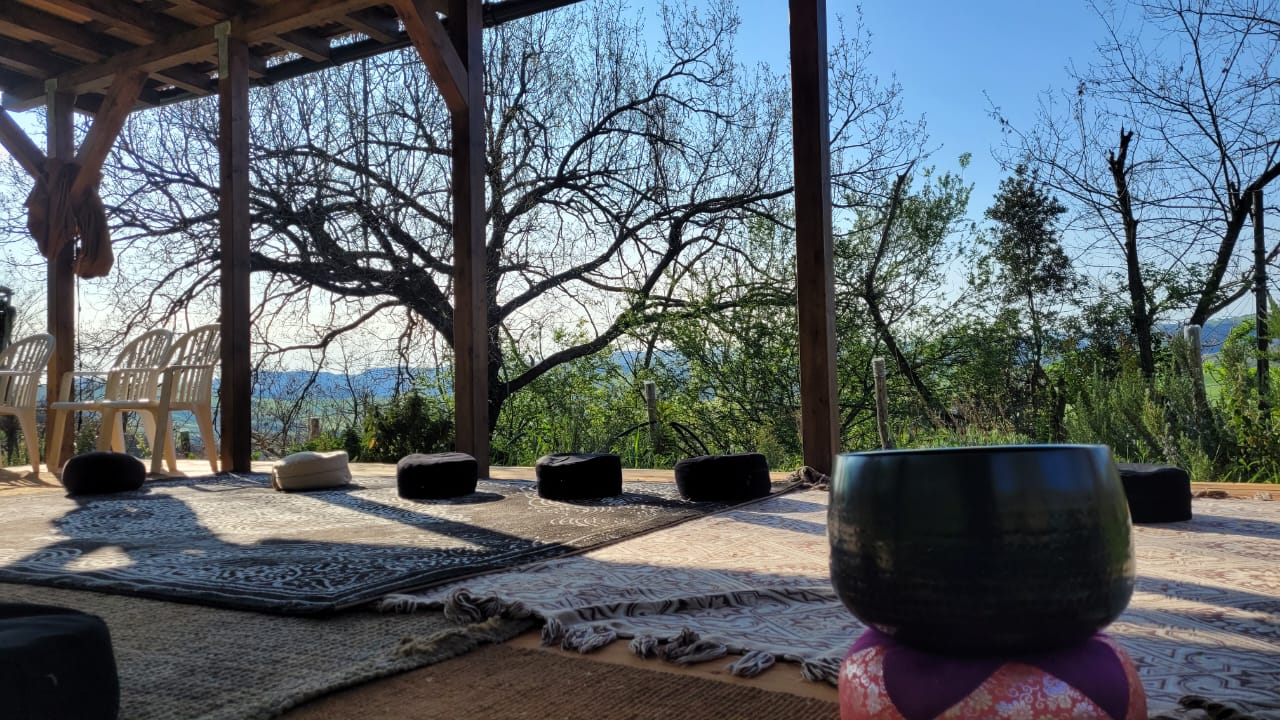 Praticare con la psicologia buddhista: Le 51 formazioni mentali