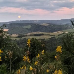 La fiducia come via spirituale