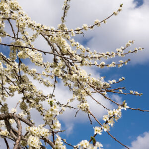 Siamo già tutto ciò che stiamo cercando